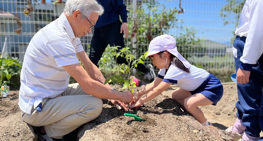 福岡市東区の幼稚園ツルタみとま幼稚園の野菜作り