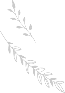 福岡市東区の幼稚園ツルタみとま幼稚園の魅力