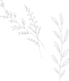 福岡市東区の幼稚園ツルタみとま幼稚園の魅力