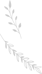 福岡市東区の幼稚園ツルタみとま幼稚園の子どもたちひとりひとりの「芽」