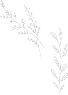 福岡市東区の幼稚園ツルタみとま幼稚園の子どもたちひとりひとりの「芽」