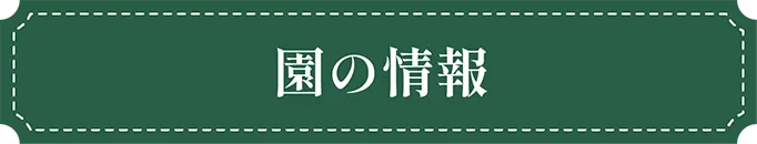 福岡市東区の幼稚園ツルタみとま幼稚園の園の情報